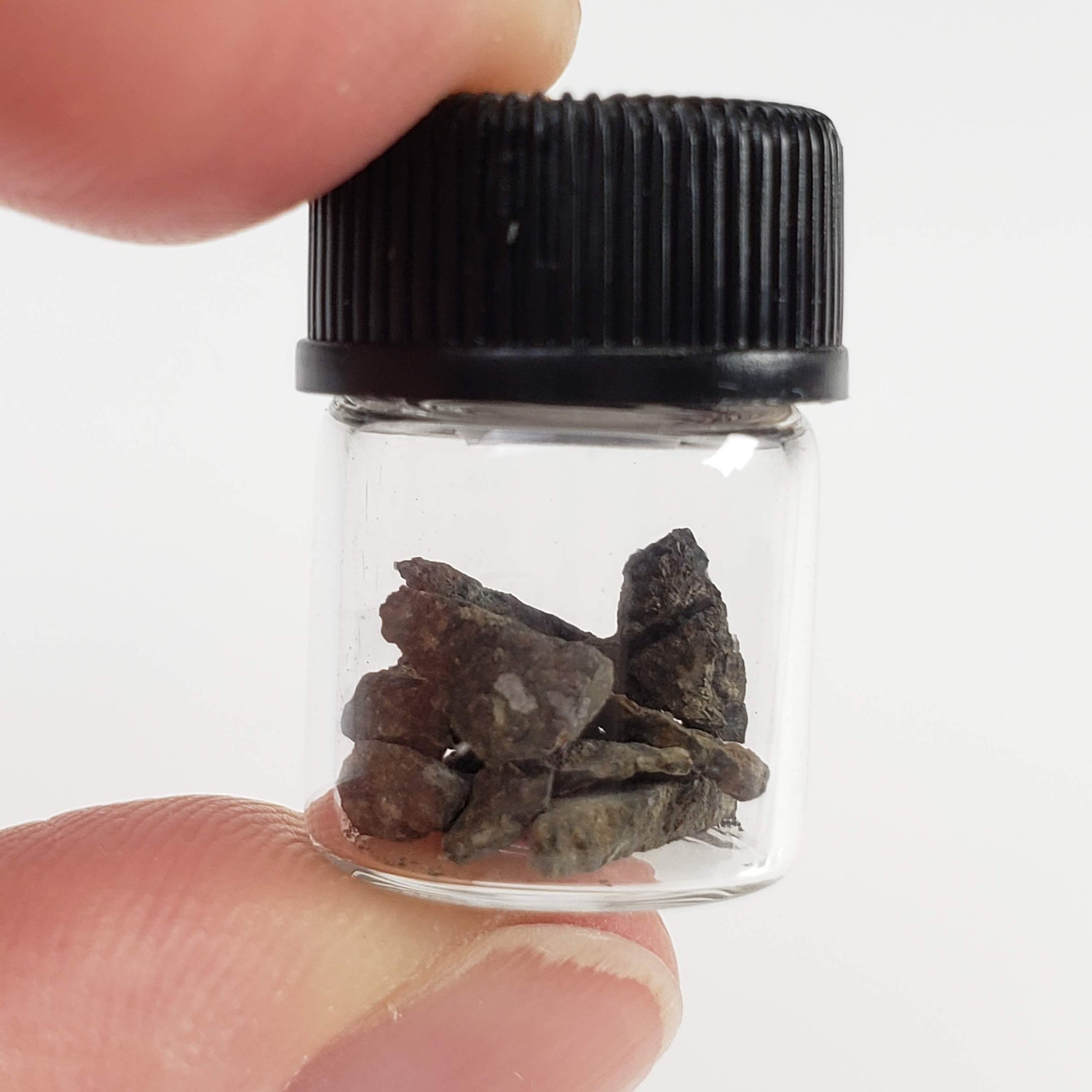  NWA 2224 Meteorite | Micro | Provisional CV3 Carbonaceous | Sahara 5