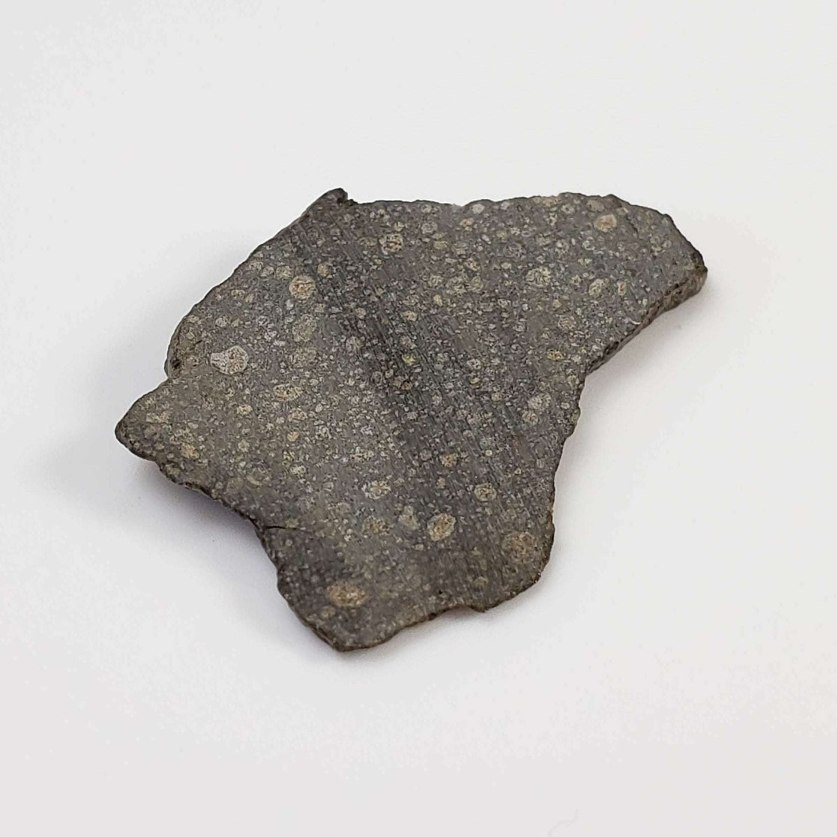  NWA 2229 Meteorite | 1.72 grams | Part Slice | Provisional R3.8 | Sahara 1