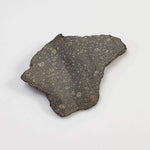  NWA 2229 Meteorite | 1.72 grams | Part Slice | Provisional R3.8 | Sahara 1