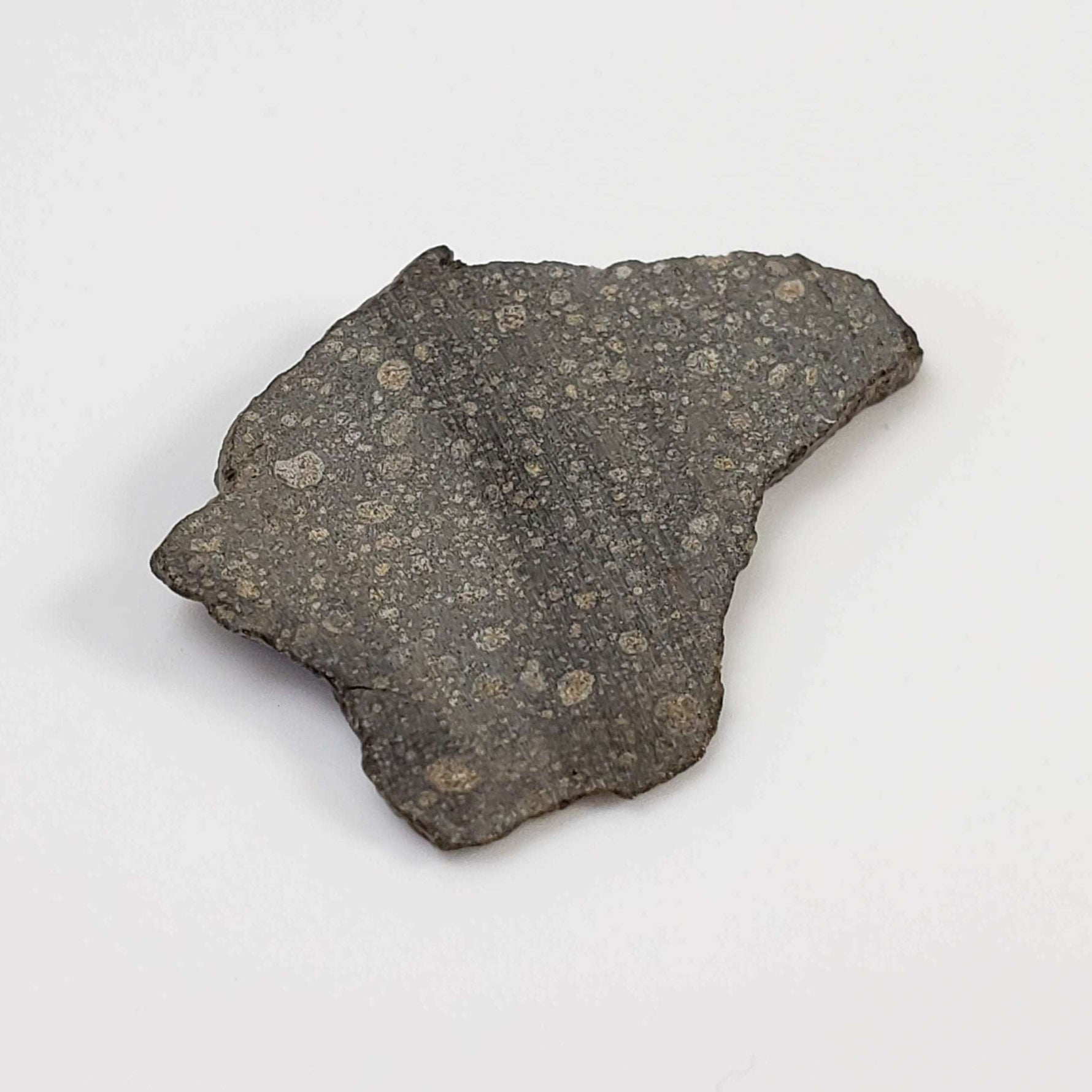  NWA 2229 Meteorite | 1.72 grams | Part Slice | Provisional R3.8 | Sahara 1