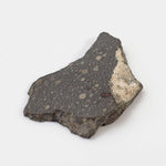  NWA 2229 Meteorite | 1.72 grams | Part Slice | Provisional R3.8 | Sahara 2