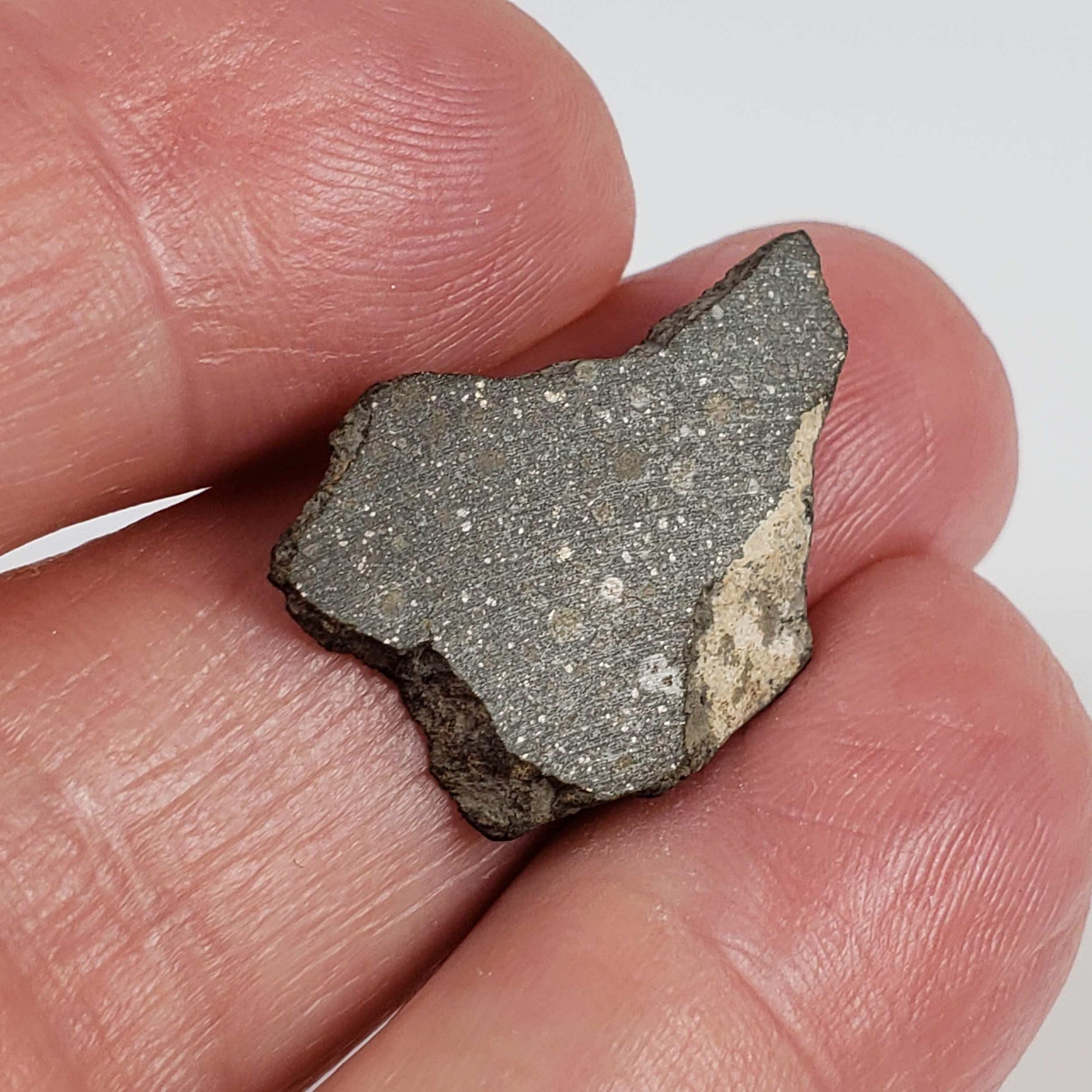  NWA 2229 Meteorite | 1.72 grams | Part Slice | Provisional R3.8 | Sahara 3