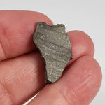  NWA 2229 Meteorite | 1.72 grams | Part Slice | Provisional R3.8 | Sahara 4