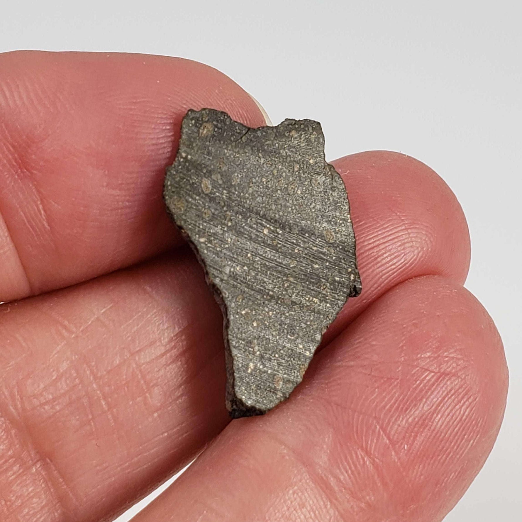  NWA 2229 Meteorite | 1.72 grams | Part Slice | Provisional R3.8 | Sahara 4