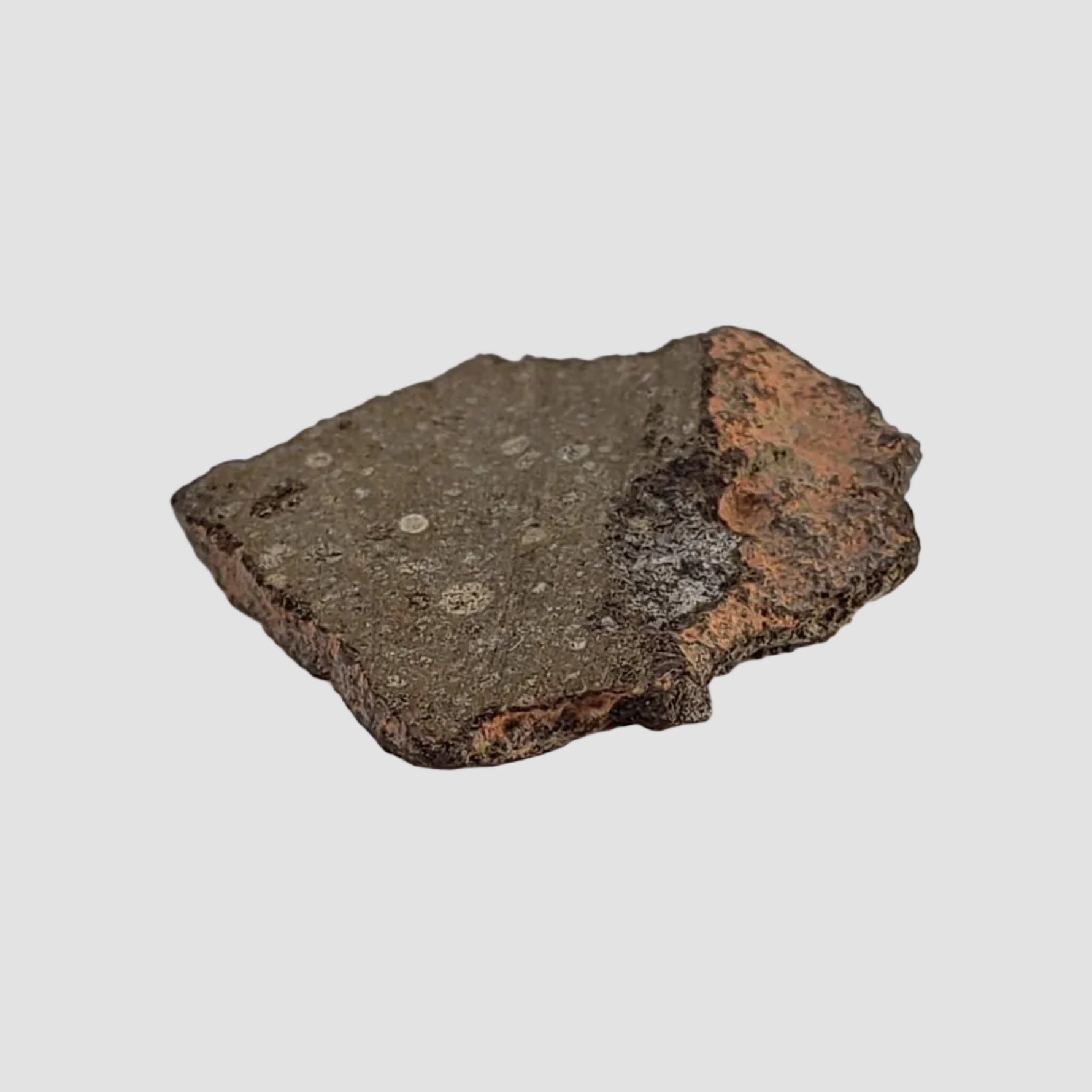  NWA 2229 Meteorite | 1.8 grams | Part Slice | Rumurutiite R3.8 | Sahara 5