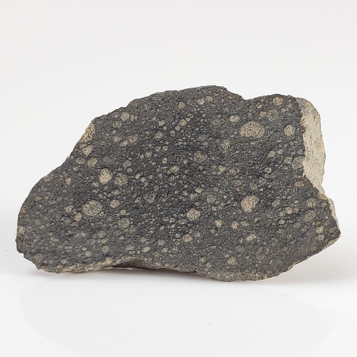 NWA 2229 Meteorite | 2.1 grams | End Cut | Rumurutiite R3.8 | Sahara 1