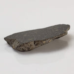NWA 2229 Meteorite | 2.1 grams | End Cut | Rumurutiite R3.8 | Sahara 4