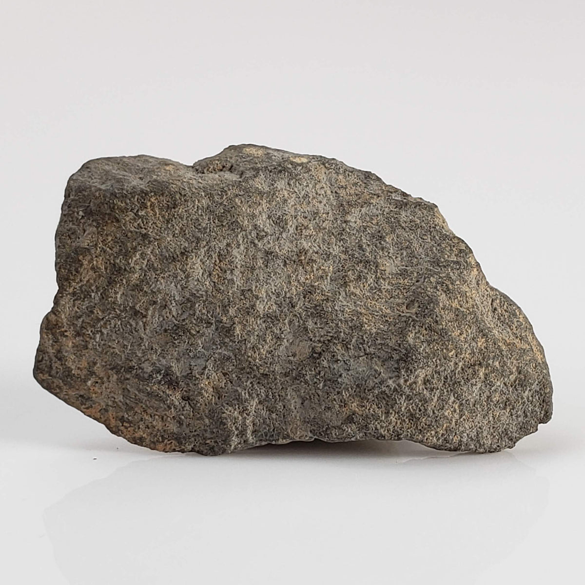 NWA 2229 Meteorite | 2.1 grams | End Cut | Rumurutiite R3.8 | Sahara 2