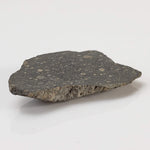 NWA 2229 Meteorite | 2.1 grams | End Cut | Rumurutiite R3.8 | Sahara 3