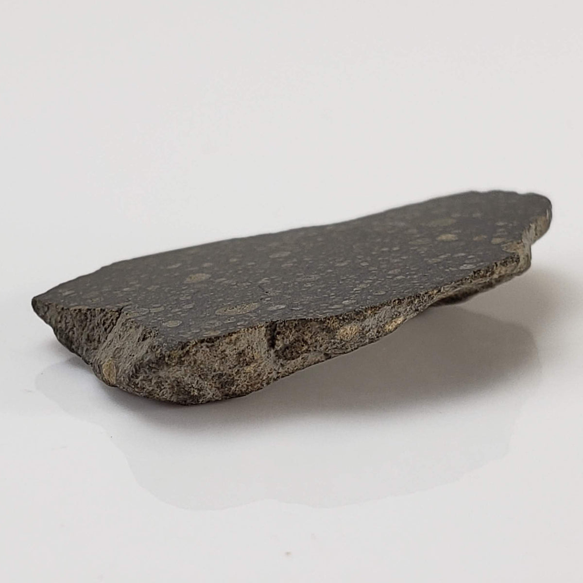 NWA 2229 Meteorite | 2.1 grams | End Cut | Rumurutiite R3.8 | Sahara 4