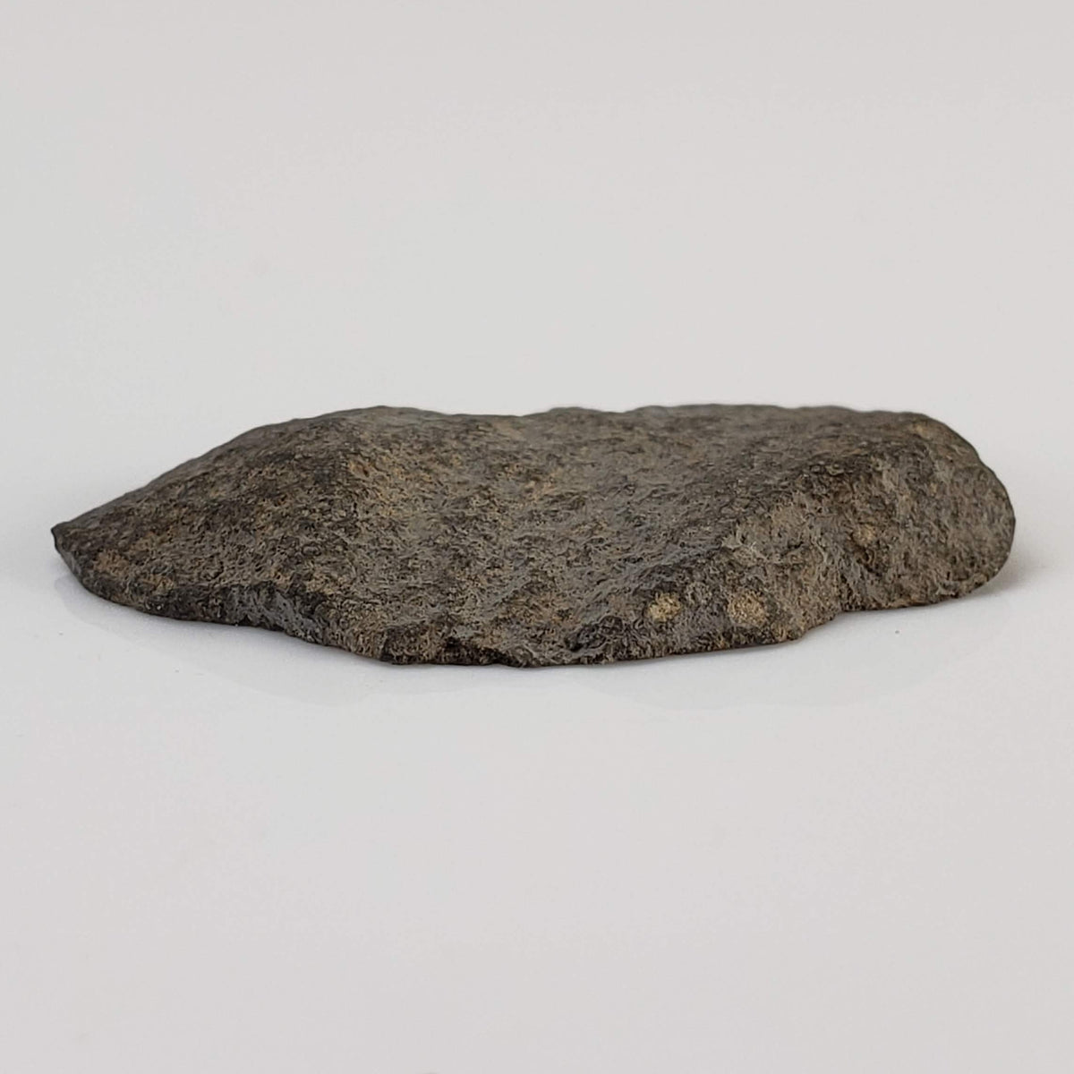 NWA 2229 Meteorite | 2.1 grams | End Cut | Rumurutiite R3.8 | Sahara 6