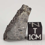  NWA 2516 Meteorite | 5.52 Gr | Part Slice | Rare Crusted Eucrite | Very Low TKW 