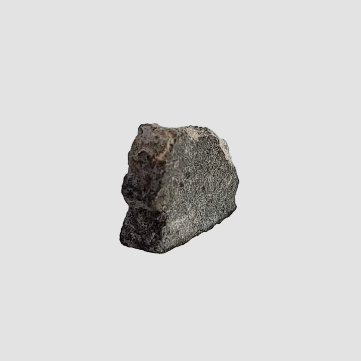  NWA 2519 Meteorite | 0.31 Grams | Part Slice | CK4 Carbonaceous 3