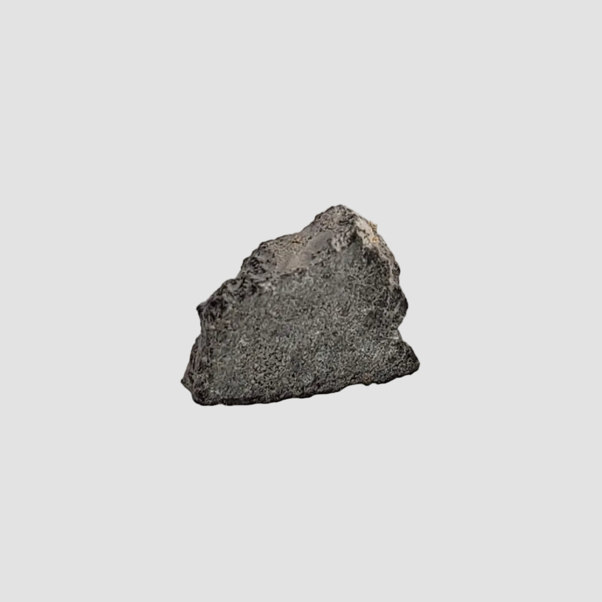  NWA 2519 Meteorite | 0.31 Grams | Part Slice | CK4 Carbonaceous 1