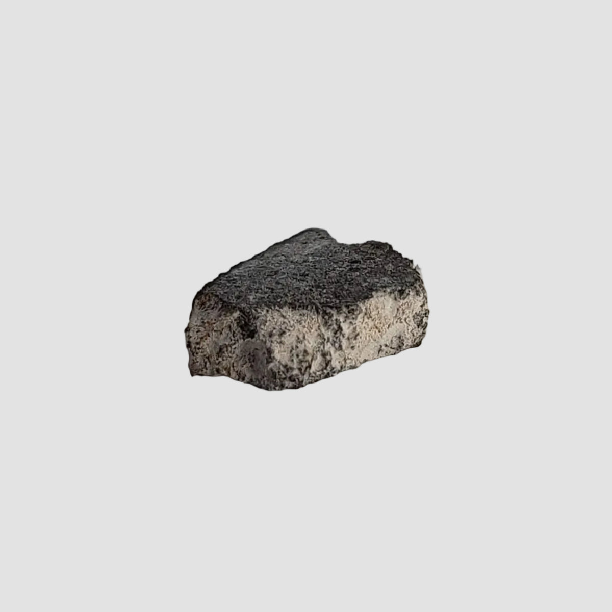  NWA 2519 Meteorite | 0.31 Grams | Part Slice | CK4 Carbonaceous 5