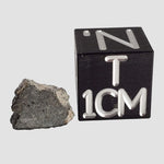  NWA 2519 Meteorite | 0.31 Grams | Part Slice | CK4 Carbonaceous 