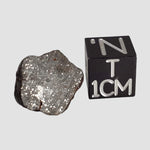  NWA 2521 Meteorite | 2.47 grams | End Cut | One of a kind | H/L3.7 Chondrite | Ultra Low TKW 
