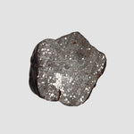  NWA 2521 Meteorite | 2.47 grams | End Cut | One of a kind | H/L3.7 Chondrite | Ultra Low TKW 2