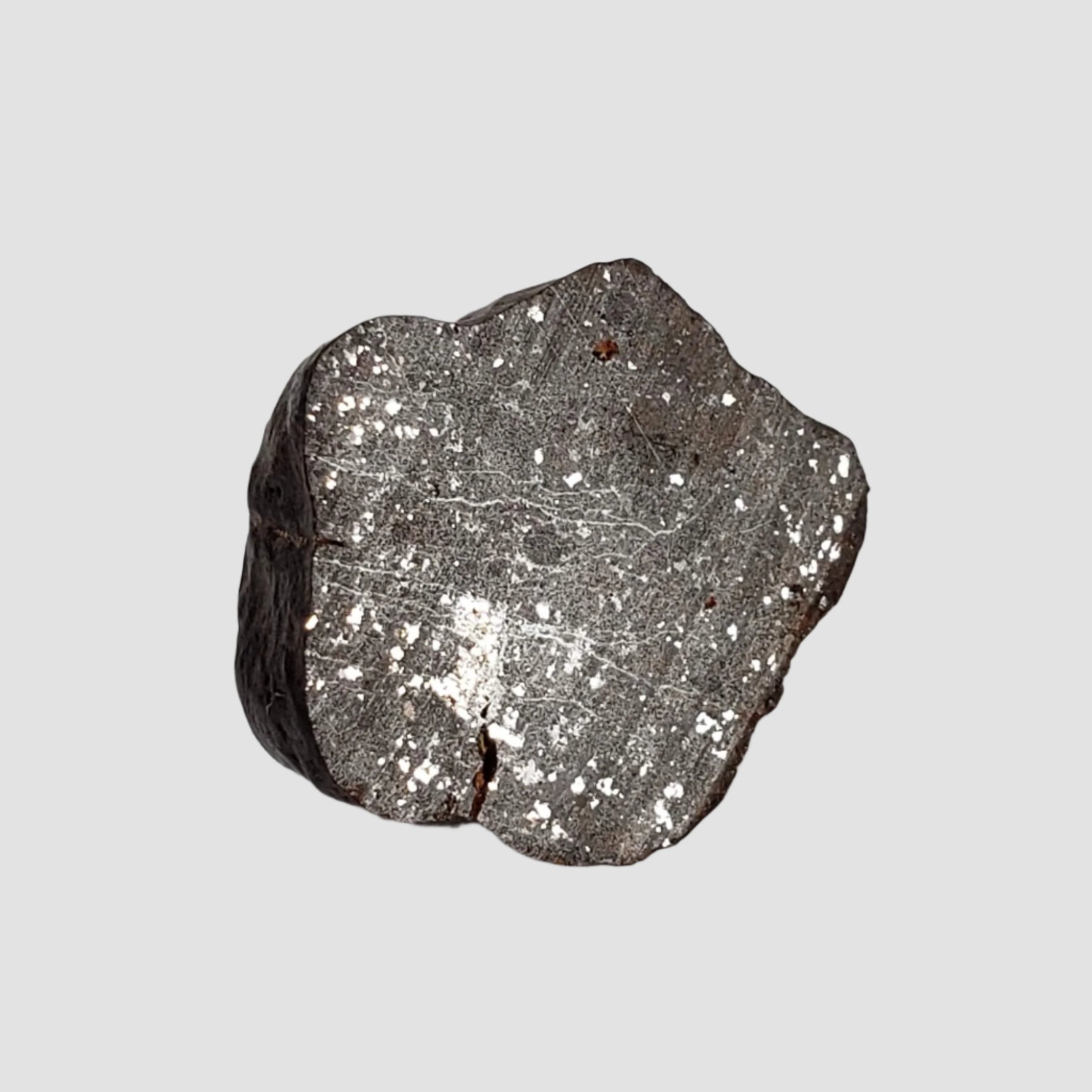  NWA 2521 Meteorite | 2.47 grams | End Cut | One of a kind | H/L3.7 Chondrite | Ultra Low TKW 2