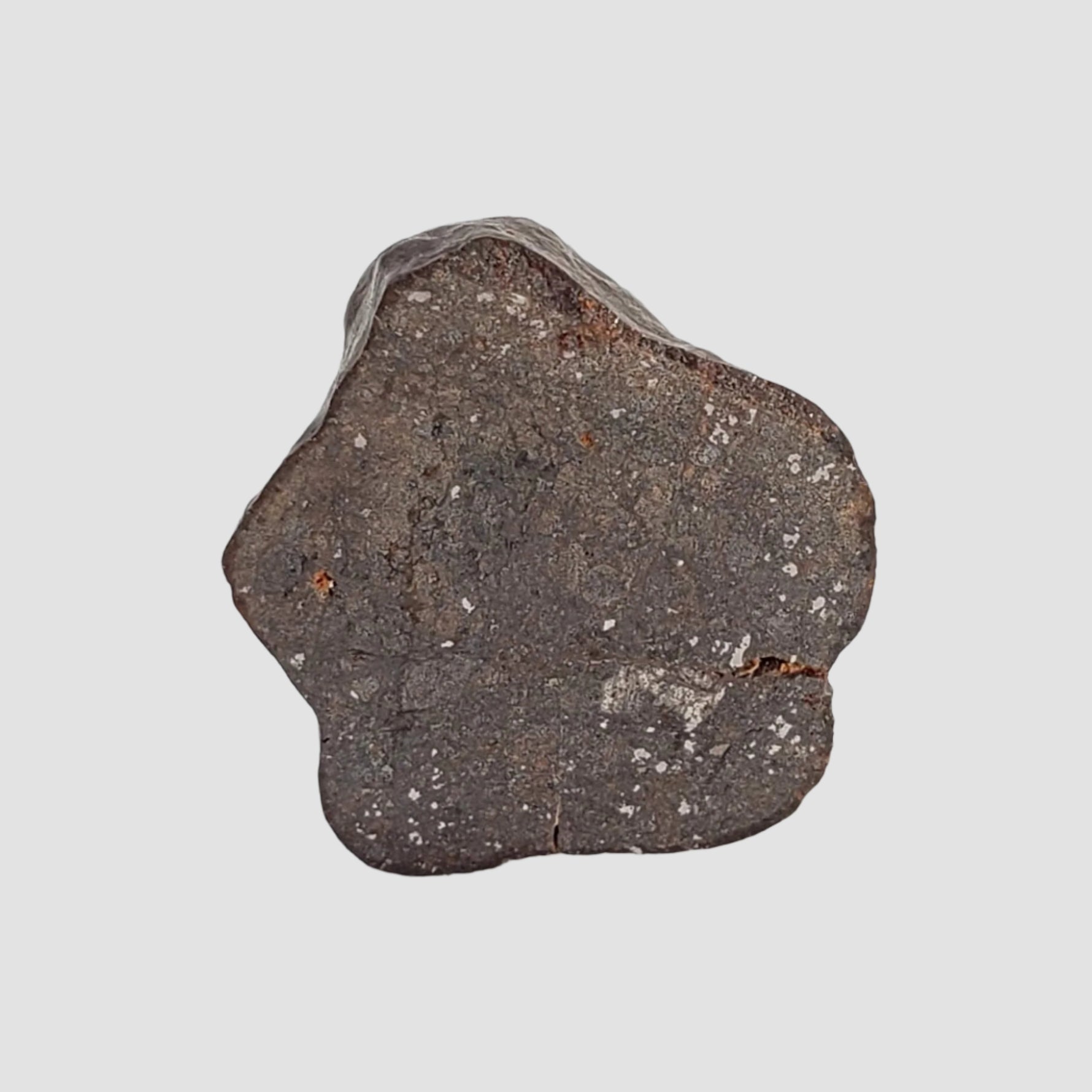  NWA 2521 Meteorite | 2.47 grams | End Cut | One of a kind | H/L3.7 Chondrite | Ultra Low TKW 4