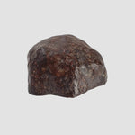 NWA 2521 Meteorite | 2.47 grams | End Cut | One of a kind | H/L3.7 Chondrite | Ultra Low TKW 6