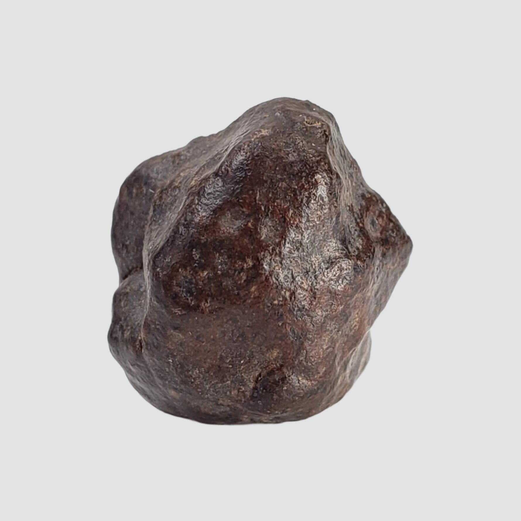  NWA 2521 Meteorite | 2.47 grams | End Cut | One of a kind | H/L3.7 Chondrite | Ultra Low TKW 1