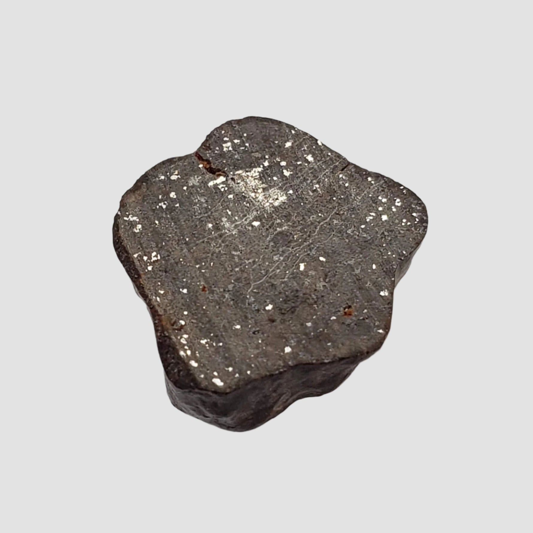  NWA 2521 Meteorite | 2.47 grams | End Cut | One of a kind | H/L3.7 Chondrite | Ultra Low TKW 7