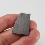  NWA 2663 Meteorite | 3.24 grams | Part Slice | Provisional CO3.1 | Sahara 4