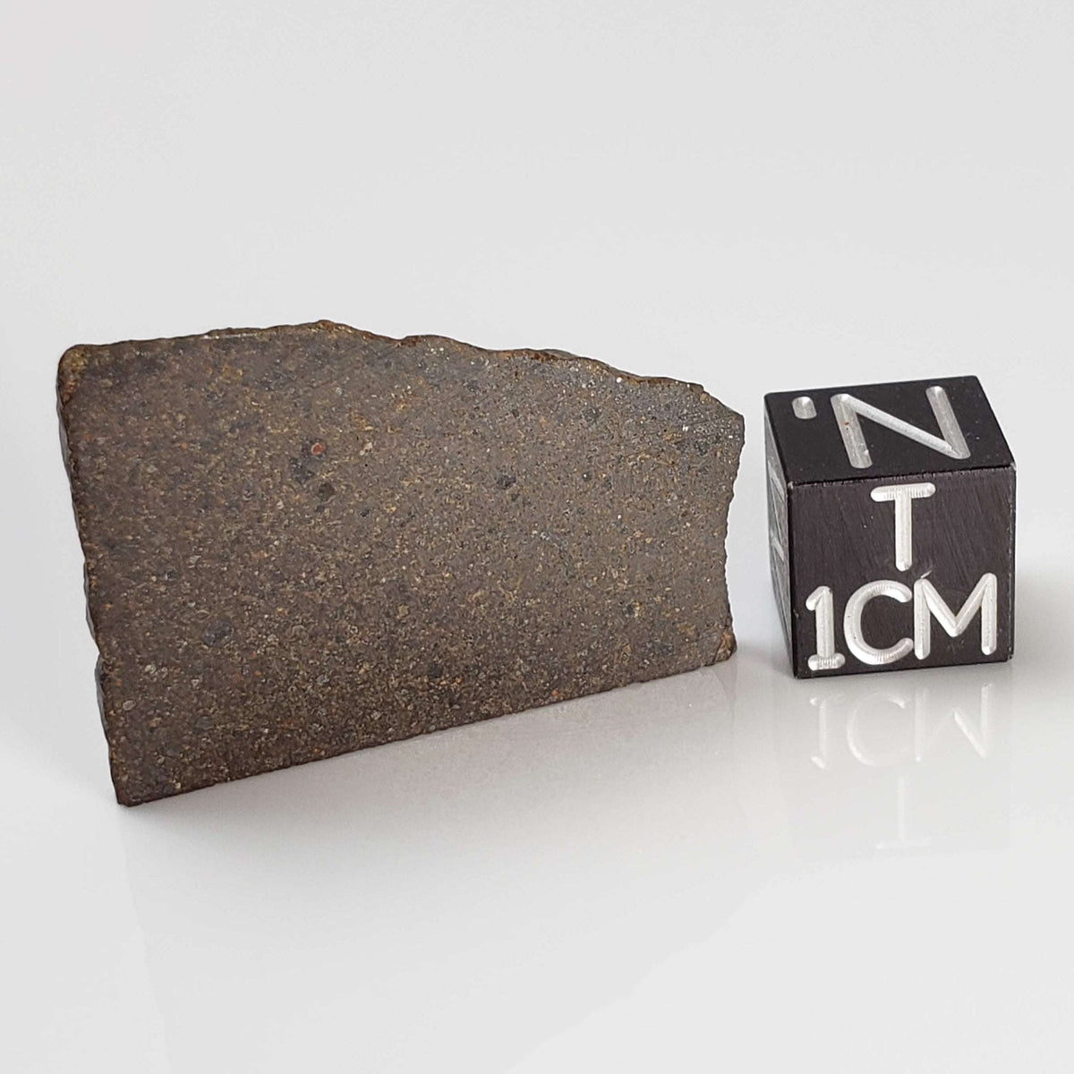  NWA 2663 Meteorite | 3.24 grams | Part Slice | Provisional CO3.1 | Sahara 