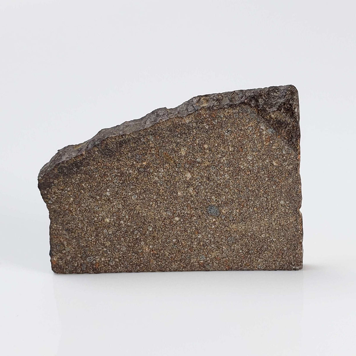  NWA 2663 Meteorite | 3.24 grams | Part Slice | Provisional CO3.1 | Sahara 1