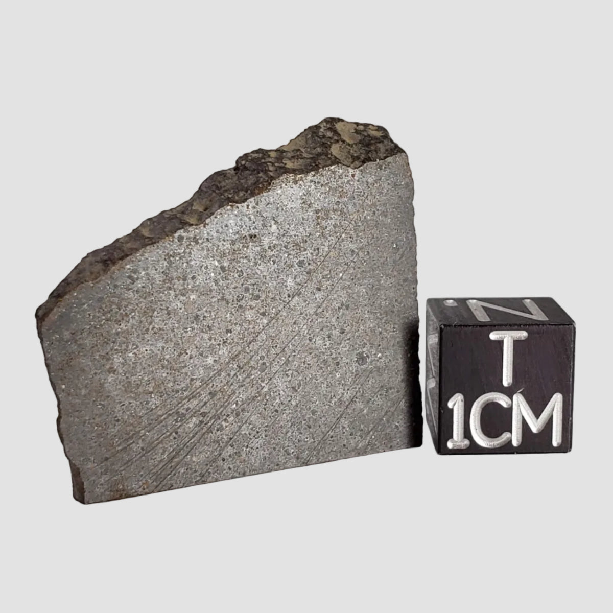  NWA 2663 Meteorite | 5.1 grams | Part Slice | Carbonaceous CO3.1 | Sahara 