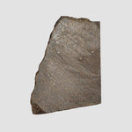  NWA 2663 Meteorite | 5.1 grams | Part Slice | Carbonaceous CO3.1 | Sahara 2