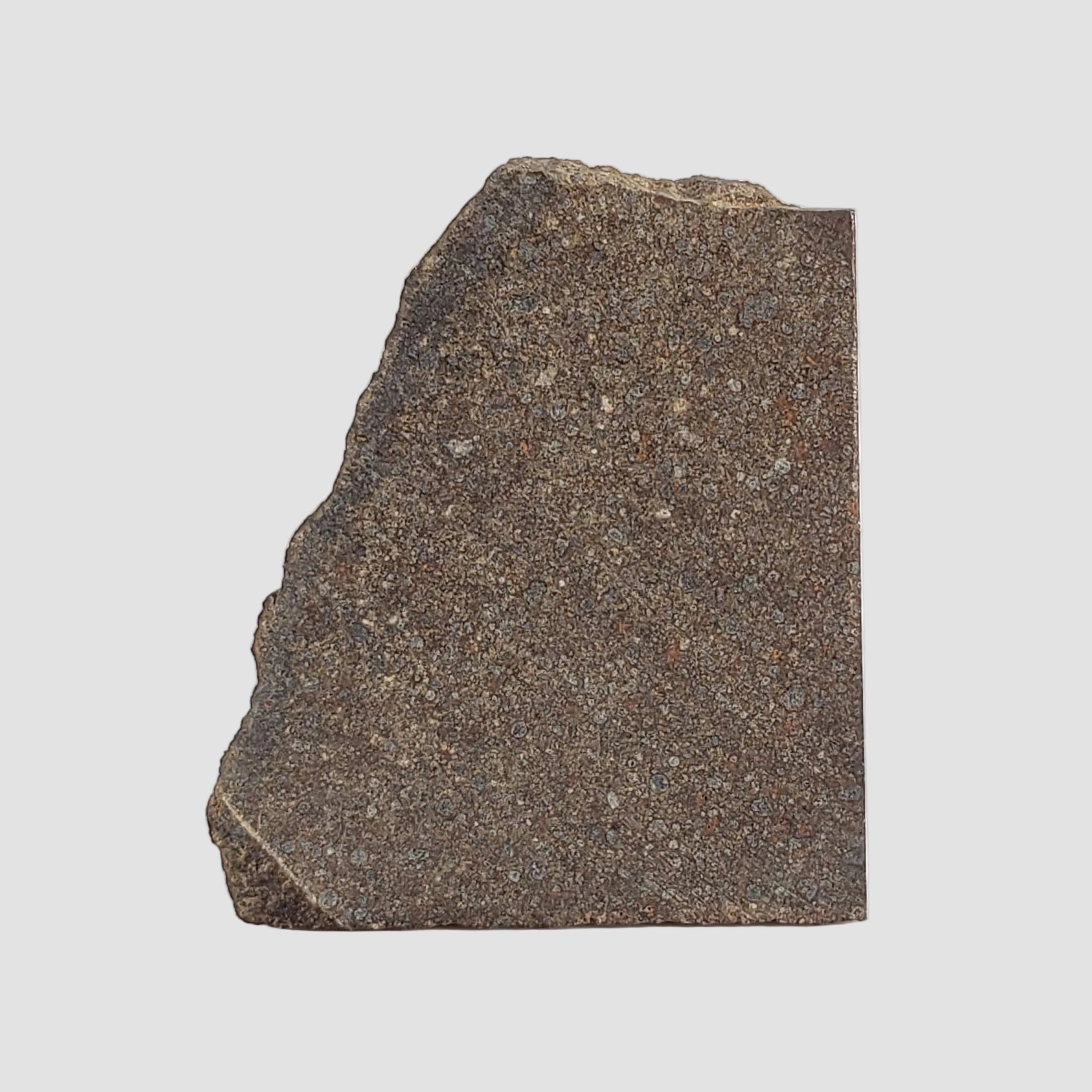  NWA 2663 Meteorite | 5.1 grams | Part Slice | Carbonaceous CO3.1 | Sahara 4