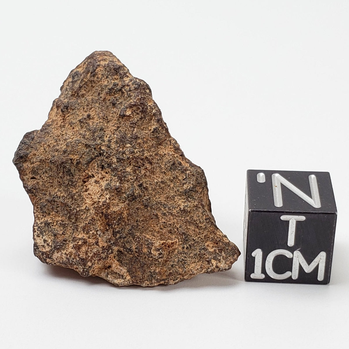  NWA 267 Meteorite | 10.8 Grams | H4 Chondrite | First Used in Legal Tender Coin | Sahara 