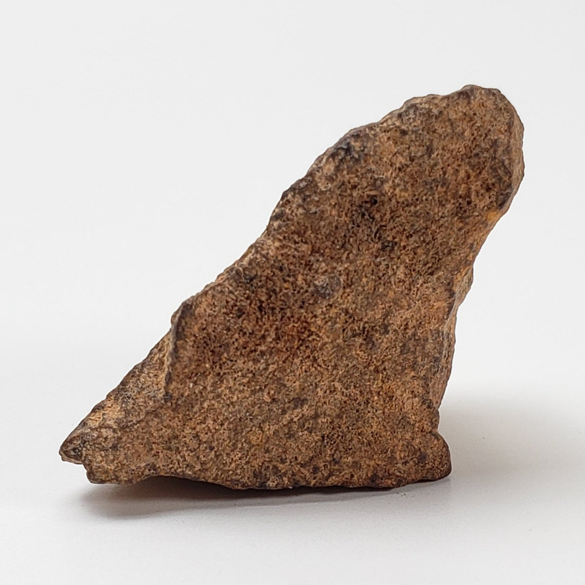  NWA 267 Meteorite | 10.8 Grams | H4 Chondrite | First Used in Legal Tender Coin | Sahara 1