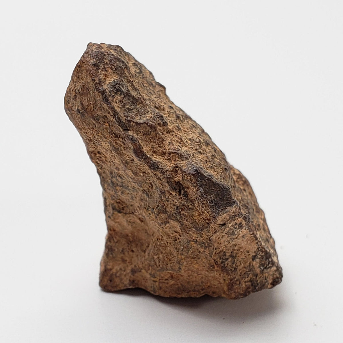  NWA 267 Meteorite | 10.8 Grams | H4 Chondrite | First Used in Legal Tender Coin | Sahara 2