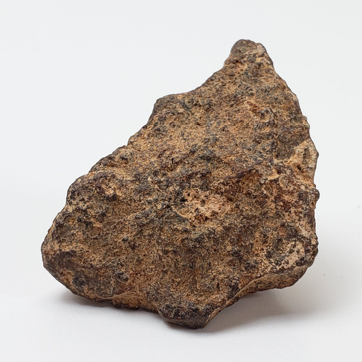  NWA 267 Meteorite | 10.8 Grams | H4 Chondrite | First Used in Legal Tender Coin | Sahara 3