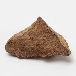  NWA 267 Meteorite | 10.8 Grams | H4 Chondrite | First Used in Legal Tender Coin | Sahara 4
