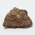  NWA 267 Meteorite | 10.8 Grams | H4 Chondrite | First Used in Legal Tender Coin | Sahara 6