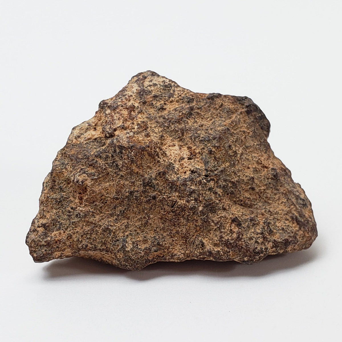  NWA 267 Meteorite | 10.8 Grams | H4 Chondrite | First Used in Legal Tender Coin | Sahara 6