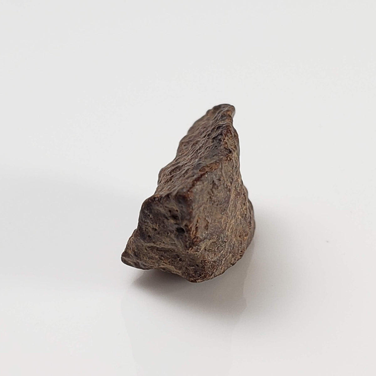  NWA 267 Meteorite | 2 Grams | H4 Chondrite | First Used in Legal Tender Coin | Sahara 4