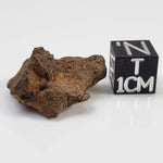  NWA 267 Meteorite | 6.03 Grams | H4 Chondrite | First Used in Legal Tender Coin | Sahara 