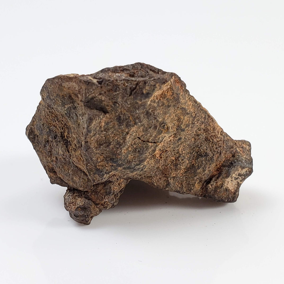  NWA 267 Meteorite | 6.03 Grams | H4 Chondrite | First Used in Legal Tender Coin | Sahara 4