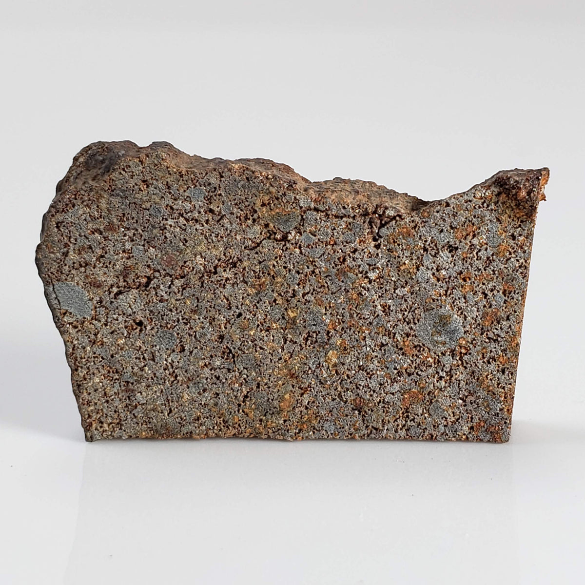 NWA 2771 Meteorite | 4.9 Grams | Part Slice | H5 | Low TKW | Sahara Desert 2