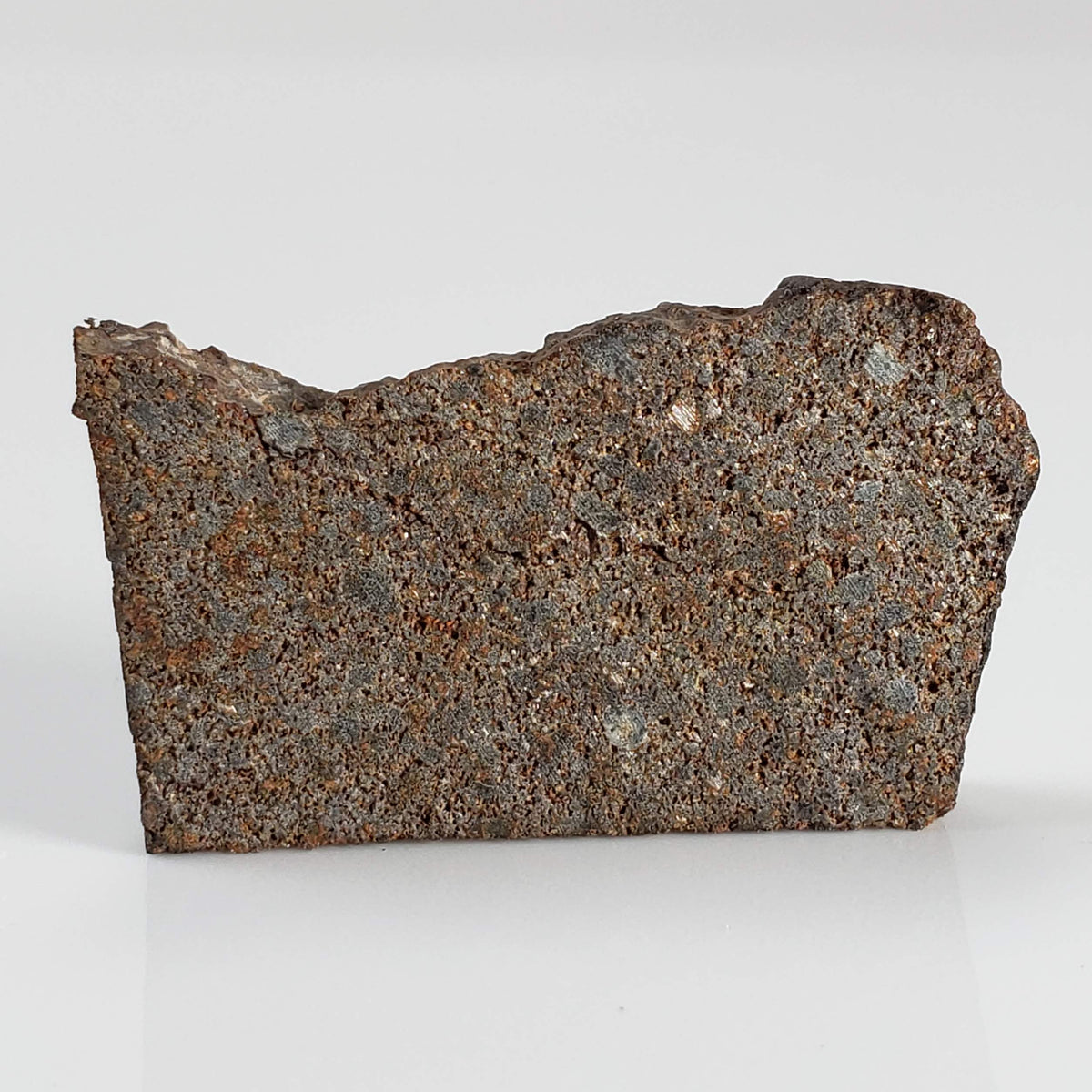 NWA 2771 Meteorite | 4.9 Grams | Part Slice | H5 | Low TKW | Sahara Desert 3