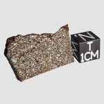 NWA 2771 Meteorite | 4.9 Grams | Part Slice | H5 | Low TKW | Sahara Desert 0