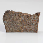 NWA 2771 Meteorite | 4.9 Grams | Part Slice | H5 | Low TKW | Sahara Desert 2