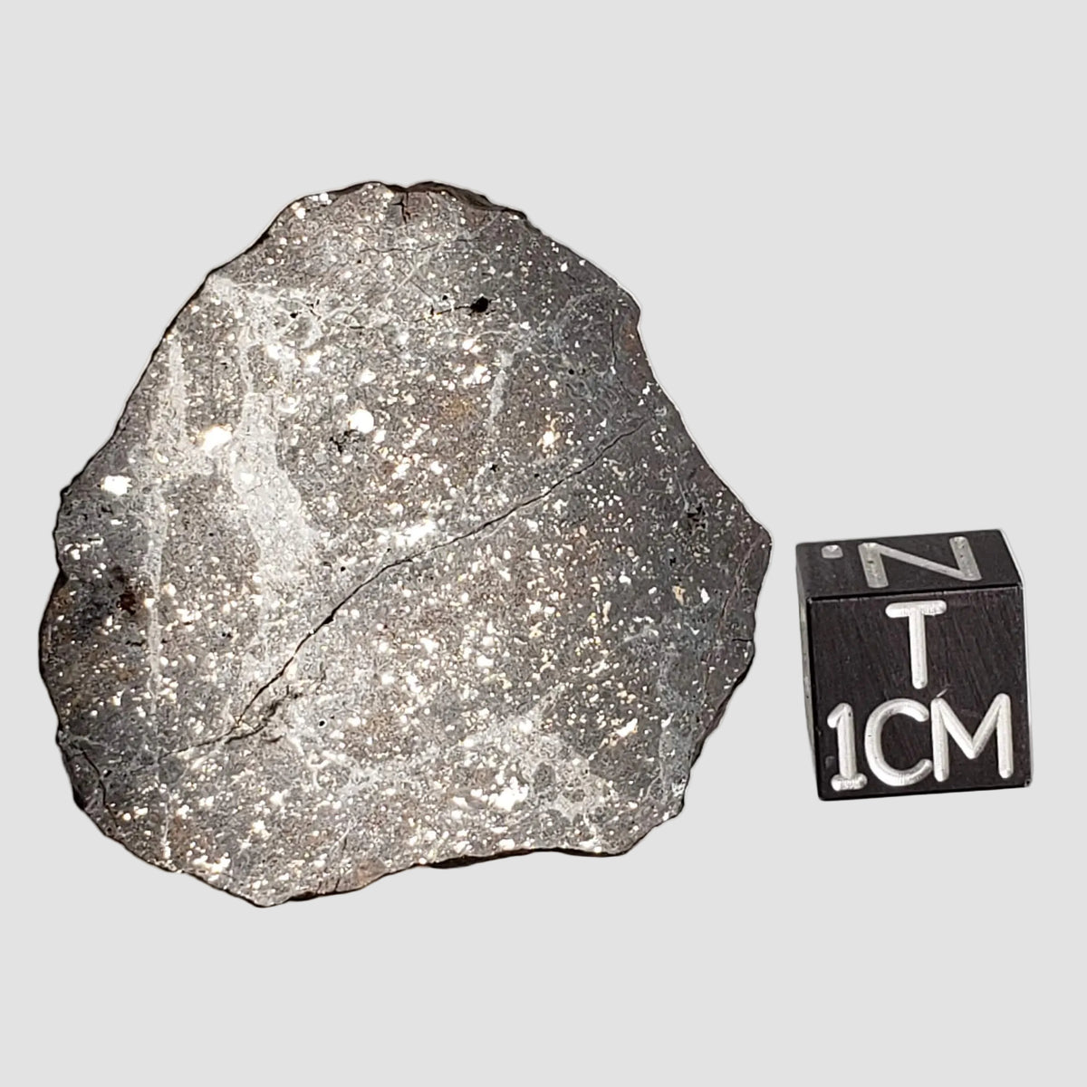  NWA 2779 Meteorite | 7.9 Gr | Slice | L5 Chondrite | Northwest Africa 