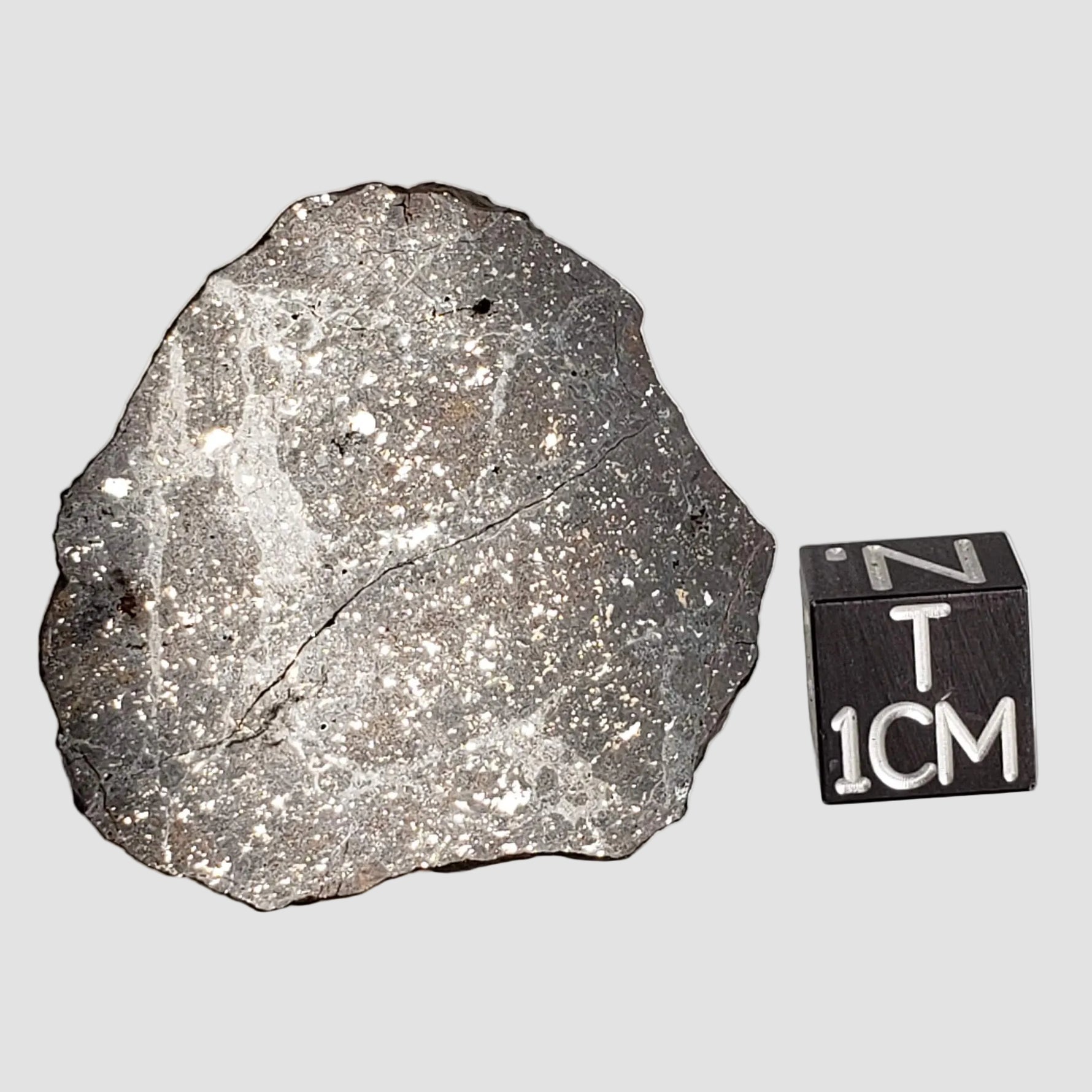  NWA 2779 Meteorite | 7.9 Gr | Slice | L5 Chondrite | Northwest Africa 