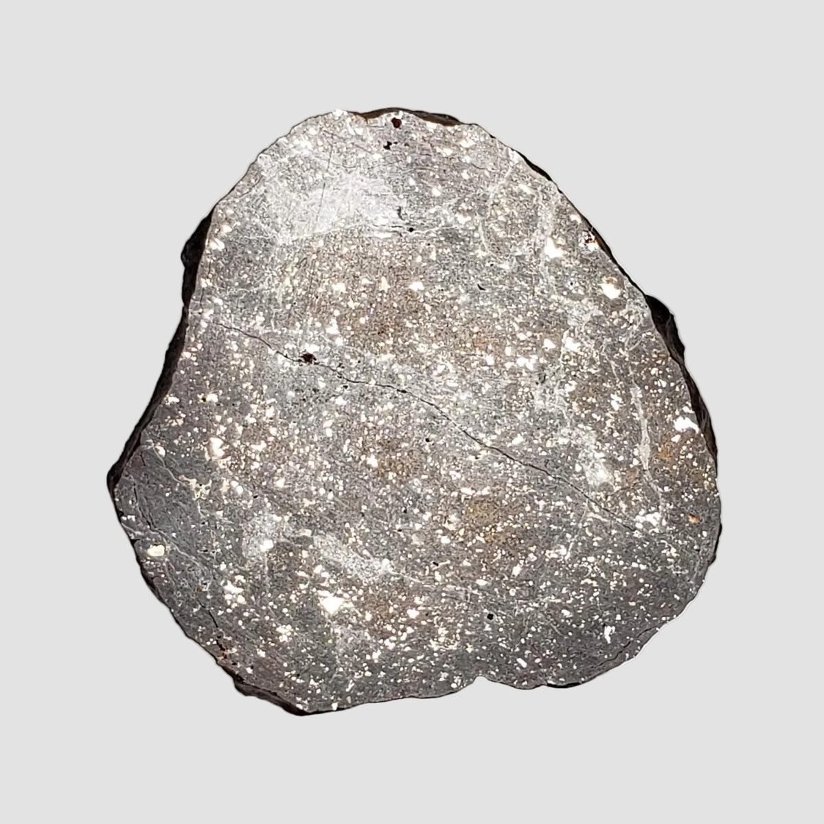  NWA 2779 Meteorite | 7.9 Gr | Slice | L5 Chondrite | Northwest Africa 1